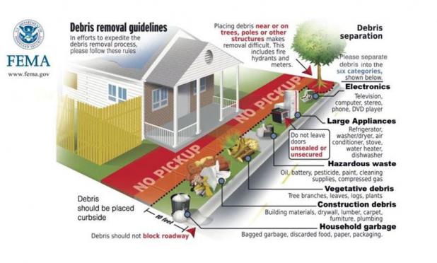 Article Image Alt Text