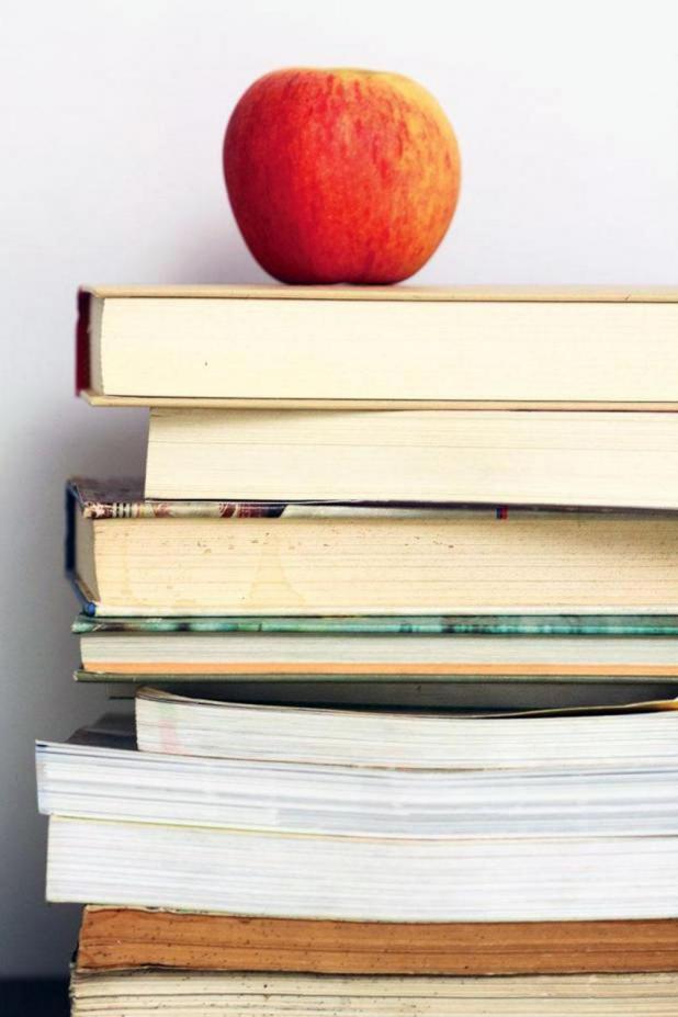 Article Image Alt Text